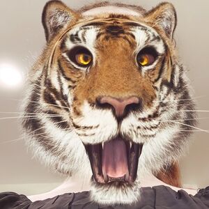 Meet your Posher, Lisa